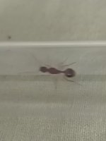 IMG_20250709_063402.jpg