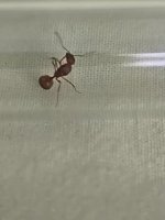 IMG_20250709_063338.jpg