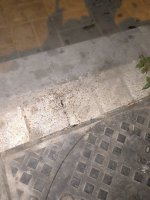 IMG_20250709_022447.jpg