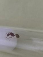 IMG_20250709_064322.jpg