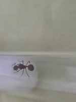 IMG_20250709_064325.jpg