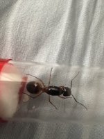 IMG_8049.jpeg