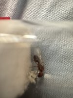 IMG_8050.jpeg