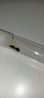 IMG_20250709_111651.jpg