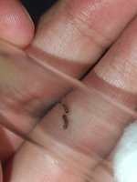 IMG_20250709_174837.jpg