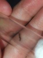 IMG_20250709_174839.jpg