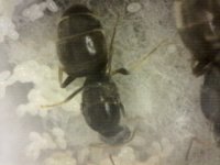 20250709-233738-904.jpg