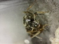 20250710-000741-806.jpg