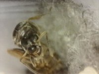 20250710-000822-419.jpg