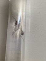 IMG_6366.jpeg