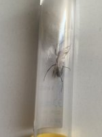IMG_6365.jpeg