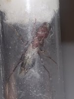 IMG_6359.jpeg