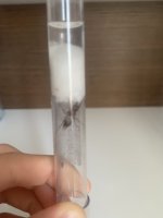 IMG_6357.jpeg