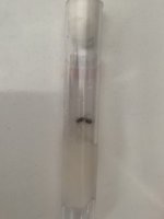 IMG_6369.jpeg