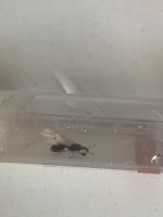 IMG_6368.jpeg