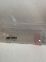 IMG_6367.jpeg