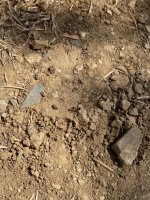 IMG_7929.jpeg