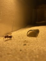 IMG_2932.jpeg