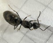 IMG_6049.jpeg