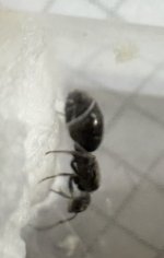 IMG_6050.jpeg