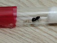 IMG20250710200623.jpg