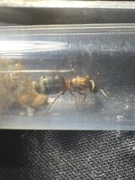 IMG_2708.jpeg