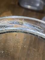 IMG_7995.jpeg