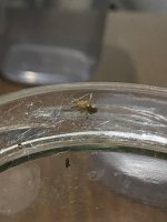 IMG_7994.jpeg