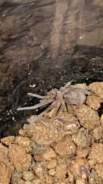 IMG_8004.jpeg