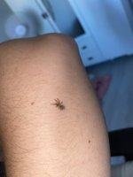 IMG_8011.jpeg