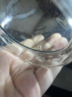 IMG_8006.jpeg