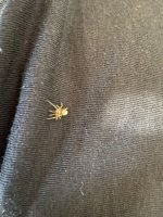 f1f6ca8e-160e-4bee-a5fe-24662395441f.jpeg