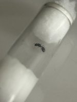 IMG_2705.jpeg