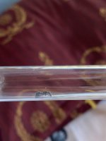 IMG_7966.jpeg