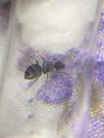 IMG_7973.jpeg