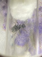 IMG_7972.jpeg