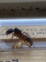IMG_1037.jpeg