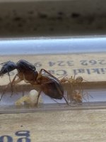 IMG_1036.jpeg