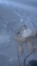 IMG_6567.jpeg