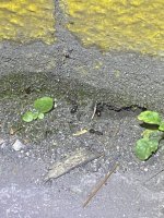 IMG_7640.jpeg