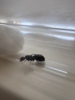 IMG_8862.jpeg