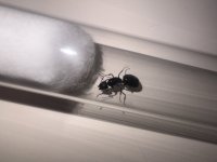 IMG_8858.jpeg