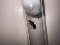 IMG_8857.jpeg
