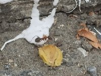 IMG_20250712_135738.jpg