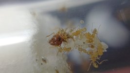 20250712_172511.jpg