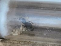 IMG_20250712_193644.jpg
