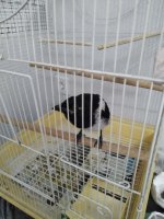 IMG_20250712_201056.jpg