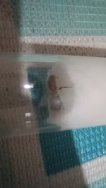 20250713_024821.jpg
