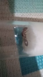20250713_024824.jpg