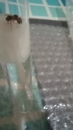 20250713_024835.jpg